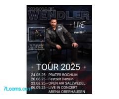 Wendler-Konzerte 2025 T-Online gibt Unterlassungserklärung gegenüber Michael Wendler ab