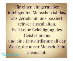 Für einen einigermaßen intelligenten Menschen ist das, was gerade passiert, schwer auszuhalten.