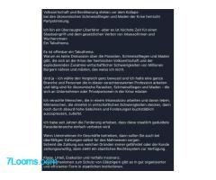 Volkswirtschaft und Bevölkerung stehen vor dem Kollaps- bei den ökonomischen Schmeissfliegen
