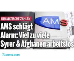 Dramatische Zahlen AMS schlägt Alarm: Viel zu viele Syrer und Afghanen arbeitslos ! 10 Jahre zu spät