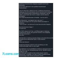 Kollektives ökonomisches Seppuku ausgelöst durch eine Bobosekte