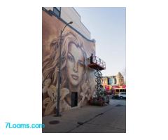 Wunderschöne Wandgemälde erinnern an Iryna Zarutska, die von einem Schwerkriminellen ermordet wurde.