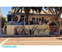 Wunderschöne Wandgemälde erinnern an Iryna Zarutska, die von einem Schwerkriminellen ermordet wurde.