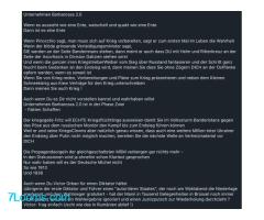 Unternehmen Barbarossa 2.0  Die SS Division Galizien wartet schon in Kiew..