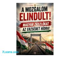 LGBTQ- oder Nationalflaggen an der Erzsébet-Brücke in Budapest? ;