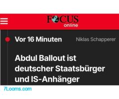Fakt ist: Die unkontrollierte Masseneinwanderung und folgende orgiastische Masseneinbürgerung ;