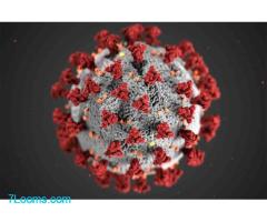 Anteil der Bevölkerung, der eine Impfung gegen das Coronavirus erhalten hat: ;