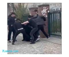 Ihr seid widerwärtige Heuchler, @PolizeiBB. Ihr deckt die mörderische Migrantenbande in Frankfurt  ;
