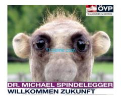 Dr. Michael  Spindelegger: Willkommen im gestern; ÖVP 2013