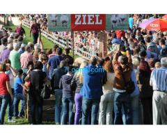 21. Großes Schweine - Rennen in Kalch Sonntag 21. September 2014 14:15 Vorstellung der Rennschweine