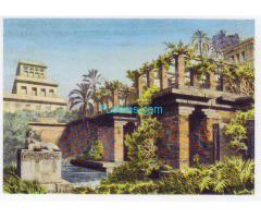Biete Billa Sticker Nr. 175, Hängende Gärten vom Stickerbuch Wunder der Erde